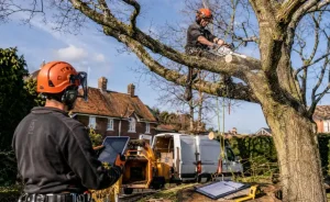 What Is the Average Tree Surgeon Hourly Rate in the UK in 2026